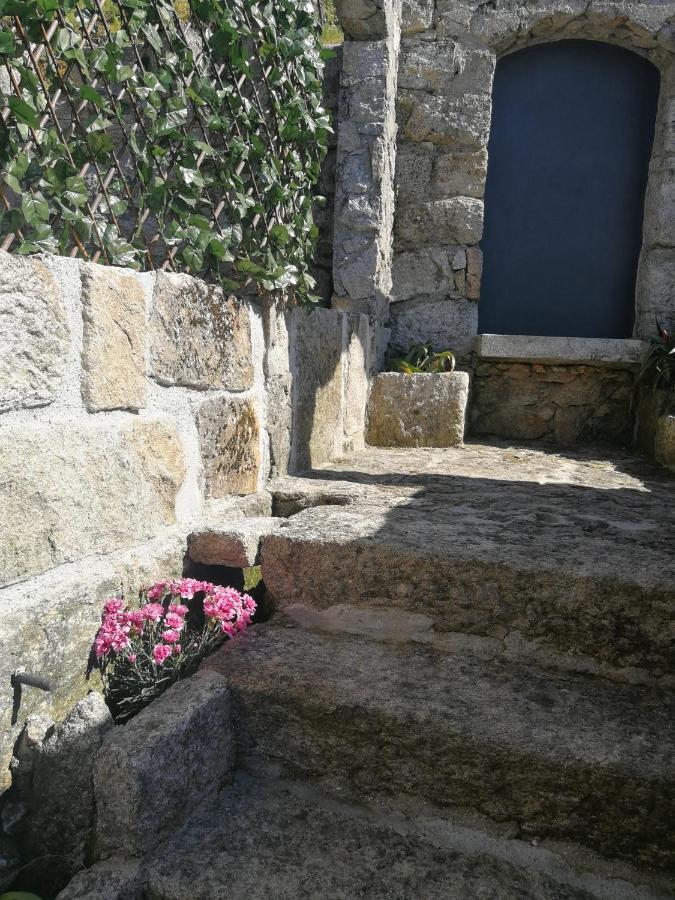 Casa Colmeia Esposende Extérieur photo